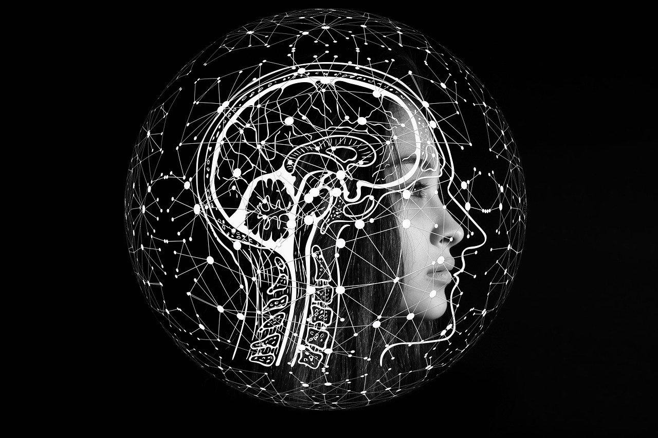 découvrez les dernières avancées en innovation technologique, leurs impacts sur notre quotidien et les tendances qui façonnent le futur.