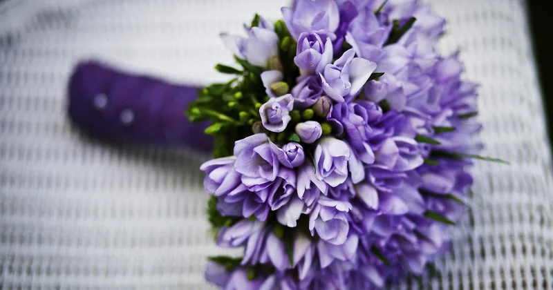 Le germini en art floral : mes astuces de composition