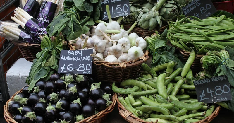 Combien coûtent les germinis ? Prix et conseils d'achat